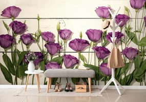 Samolepiaca fototapeta nádherné fialové kvety - 375x250