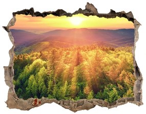 Nálepka fototapeta 3D Forest sunset nd-k-82972520