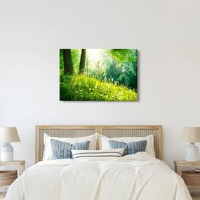 Obraz - Magická lúka plná púpav (90x60 cm)