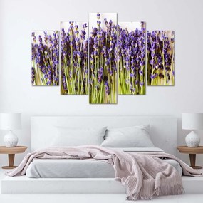 Obraz na plátně pětidílný Levandulové květy příroda - 200x100 cm