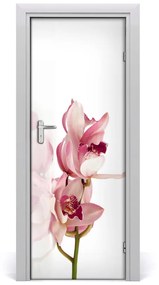 Fototapeta na dvere ružová orchidea 95x205 cm
