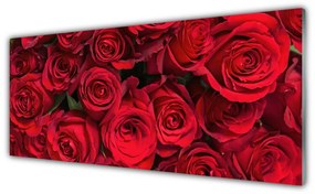 Obraz plexi Červené ruže kvety príroda 125x50 cm