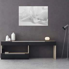 Obraz - Perie (90x60 cm)