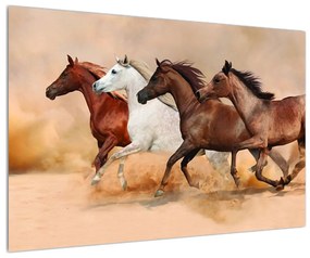 Obraz koní (90x60 cm)