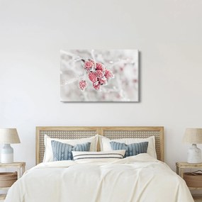 Obraz - Zamrznuté plody (90x60 cm)
