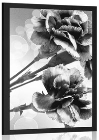 Plagát kvet karafiátu v čiernobielom prevedení - 60x90 black