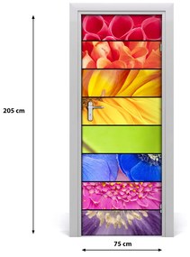 Fototapeta samolepiace farebné kvety 75x205 cm