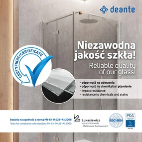 Deante Arnika, obdĺžnikový sprchový kút 100 (dvere) x80 (stena) cm, výška 200cm, 6mm číre sklo s EasyClean, čierny profil, KQA_046P