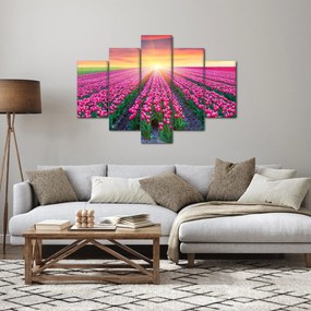 Obraz poľa tulipánov so slnkom (150x105 cm)