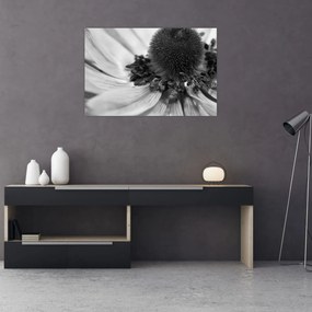 Obraz - Kvetina v čiernobielej (90x60 cm)