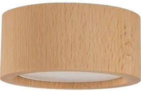 Bodové svietidlo EVE 1xGX53/11W/230V buk