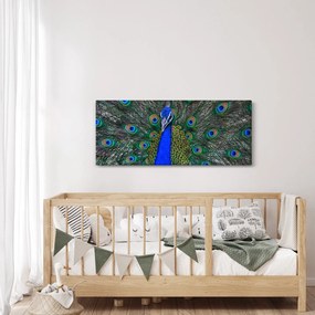 Obraz - Páv (120x50 cm)
