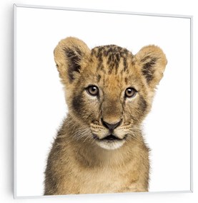 Klarstein Wonderwall Air Art Smart, infračervený ohrievač, 60 x 60 cm, 350 W, lev