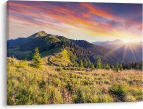 Obraz - Lesná krajina (70x50 cm)