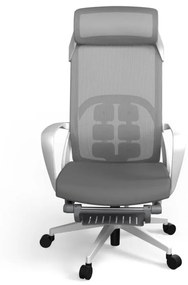 Ergonomická kancelárska stolička Liftor Orca, sivá