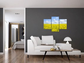Obraz žltého poľa (90x60 cm)