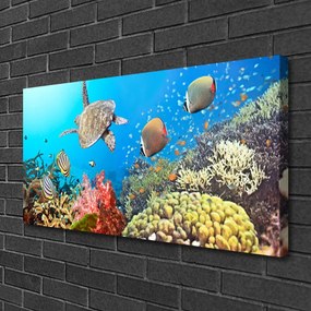 Obraz na plátne Koralový útes krajina 125x50 cm