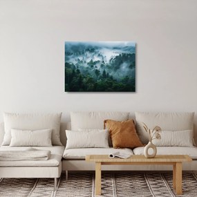 Sklenený obraz - Les v hmle (70x50 cm)