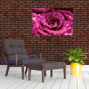 Obraz ružového kvetu ruže (90x60 cm)