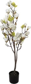 Dekoračný stromček Magnolia s bielymi kvetmi - 20*15*120 cm