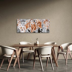 Obraz - Zamrznuté listy (120x50 cm)