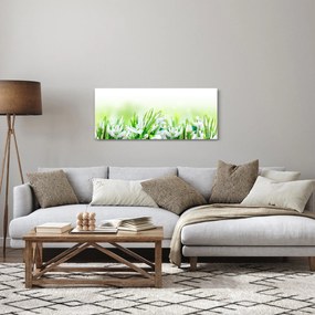 Obraz - Snežienky (120x50 cm)