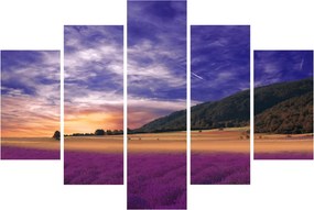 Obraz levanduľovej lúky (150x105 cm)