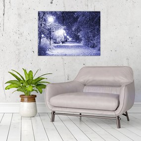 Obraz - Čarovná zimná noc (70x50 cm)