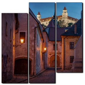 Obraz na plátne - Bratislava staré mesto s hradom vzadu - štvorec 3265D (105x105 cm)