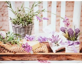 Obraz tlačený na plátne 30x40 PRC1069