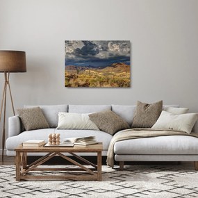 Sklenený obraz - kaktusy v prírode (70x50 cm)