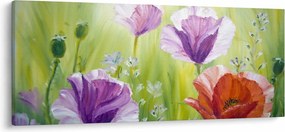 Obraz - Vlčie maky (120x50 cm)