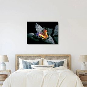 Sklenený obraz motýľa (70x50 cm)