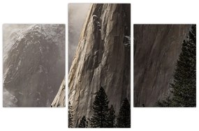 Obraz z údolia Yosemite národnej parku, USA (90x60 cm)