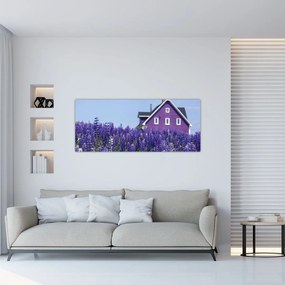 Obraz levanduľového poľa (120x50 cm)