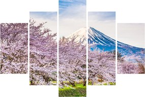 Obraz - Japonsko na jar (150x105 cm)