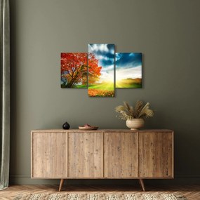 Obraz krajiny zaliate slnečným svitom (90x60 cm)