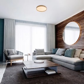 Rabalux 71144 - LED Stropné svietidlo LEANA LED/24W/230V 3000K pr. 38 cm