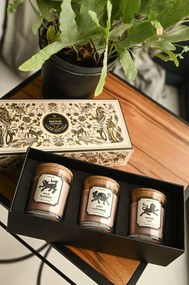 Medicine Voňavé sójové sviečky Essential (3-pak)