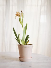 Malý kvetináč Helena s podstavcom s glazúrou 12 cm ružový