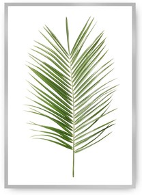 Plagát Palm Leaf Green