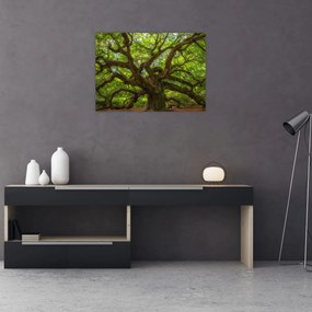 Sklenený obraz - Zelený strom (70x50 cm)