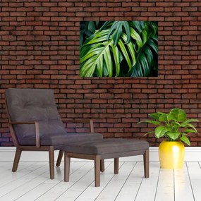 Sklenený obraz - Tropické listy (70x50 cm)