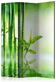 Artgeist Paraván - Green Bamboo [Room Dividers]