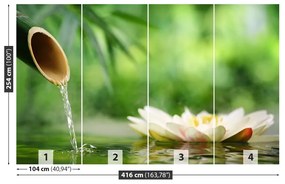 Fototapeta Vliesová Bambusová fontána 250x104 cm