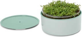 Súprava na pestovanie »Microgreens«