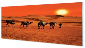 Obraz plexi Ťavy ľudí púštne slnko neba 120x60 cm
