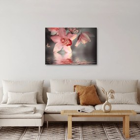 Obraz - Kvety a motýľ (70x50 cm)