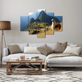 Obrázok - Lama a Machu Picchu (150x105 cm)
