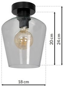 Stropné svietidlo SANTIAGO 1xE27/60W/230V číra